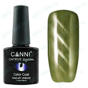 Canni Cat Eye Магнитный гель-лак №285 цвет №285 