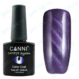 Canni Cat Eye Магнитный гель-лак №291 цвет №291 