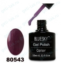 BlueSky серия 80543