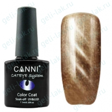 Canni Cat Eye Магнитный гель-лак №284 цвет №284 